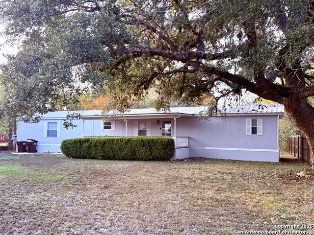 Image 28 of 36 For 13835 Owl Tree