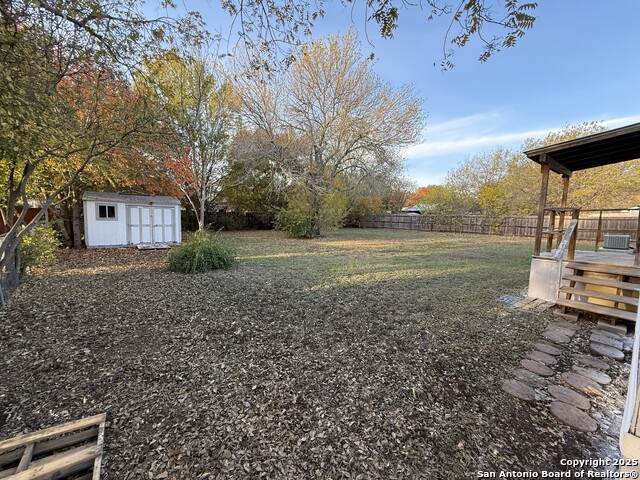 Image 29 of 36 For 13835 Owl Tree