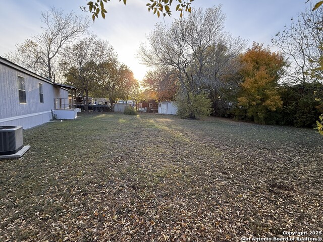 Image 32 of 36 For 13835 Owl Tree