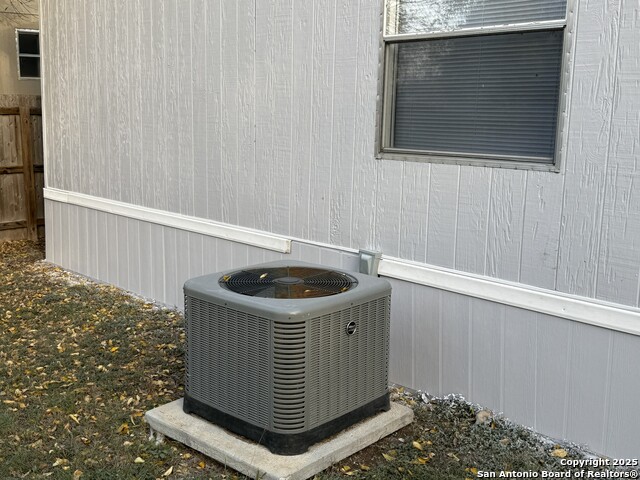 Image 34 of 36 For 13835 Owl Tree