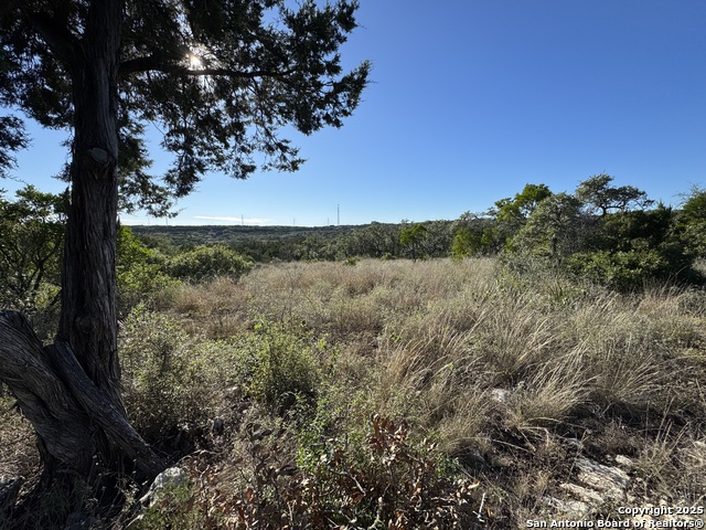Details for Lot 31 Cr 2801 W, Mico, TX 78056