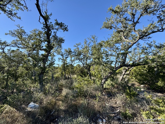 Image 12 of 26 For Lot 31 Cr 2801 W