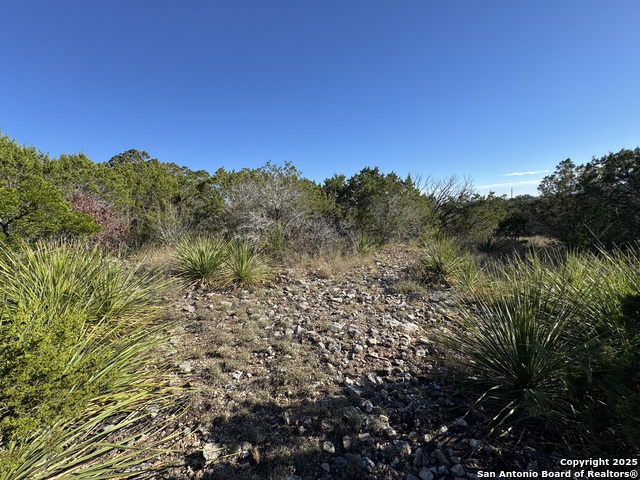 Image 16 of 26 For Lot 31 Cr 2801 W