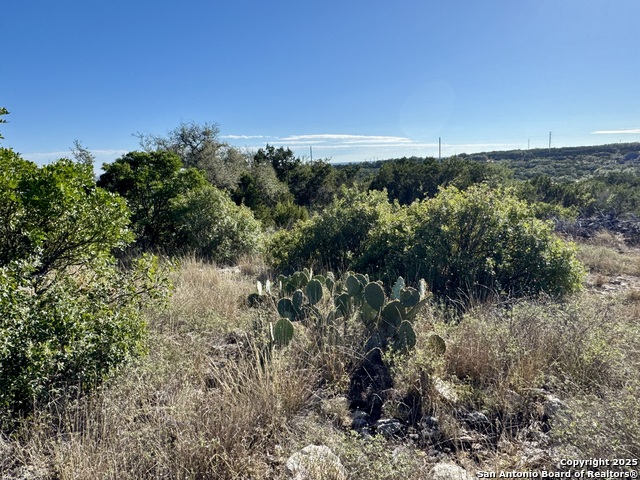 Image 6 of 26 For Lot 31 Cr 2801 W