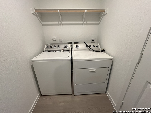 Image 26 of 34 For 407 Indian Blossom