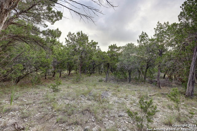 Listing photo id 9 for 11411 Anaqua Springs