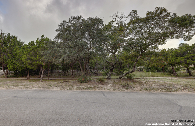 Listing photo id 1 for 11411 Anaqua Springs