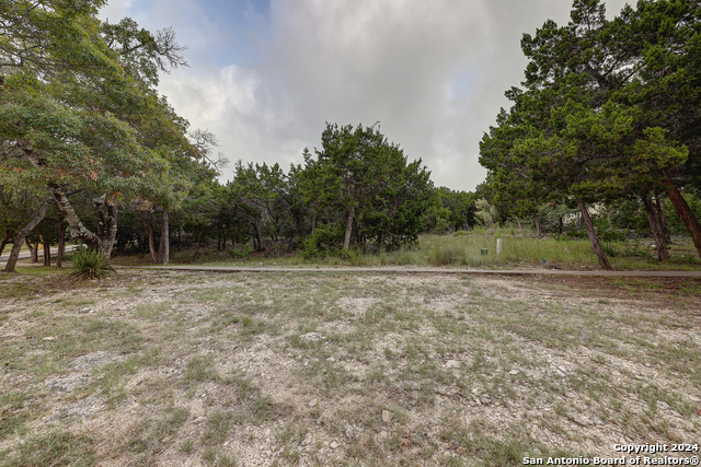 Listing photo id 3 for 11411 Anaqua Springs