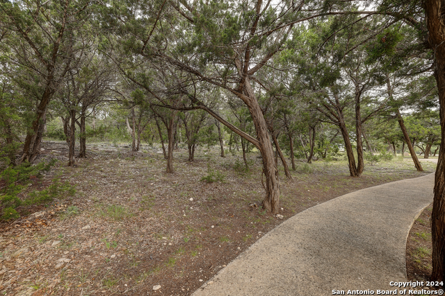 Listing photo id 4 for 11411 Anaqua Springs