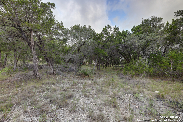 Listing photo id 6 for 11411 Anaqua Springs