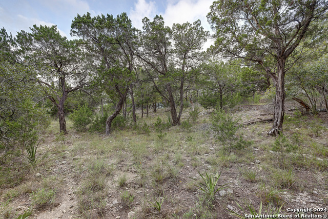 Listing photo id 7 for 11411 Anaqua Springs