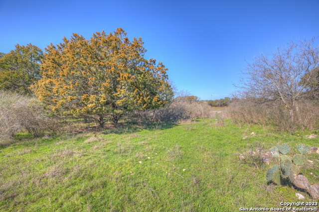 Image 10 of 25 For 741 Wombat Grove