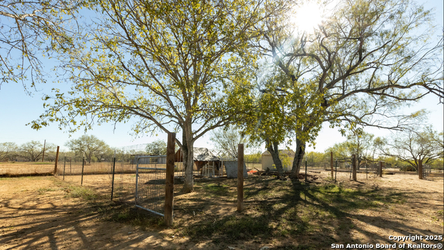 Image 25 of 34 For 1510 Corgey  