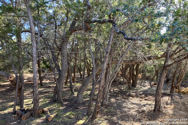 Image 6 of 6 For 1595 Rocky Ridge Loop