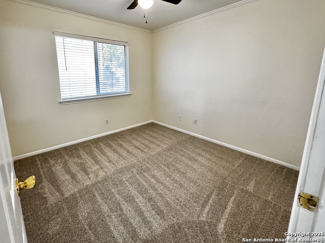 Image 30 of 48 For 4447 Amandas Cove