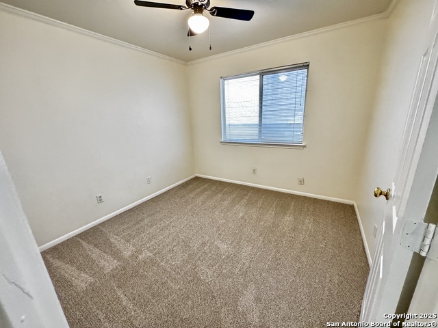 Image 34 of 48 For 4447 Amandas Cove