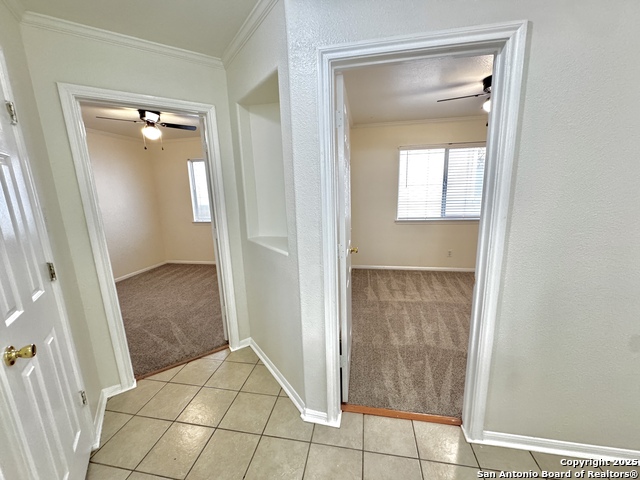 Image 36 of 48 For 4447 Amandas Cove