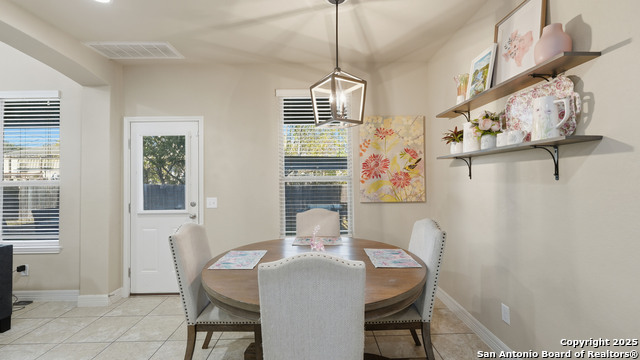 Image 17 of 42 For 335 Snow Goose