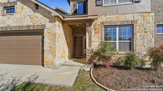 Image 2 of 42 For 335 Snow Goose