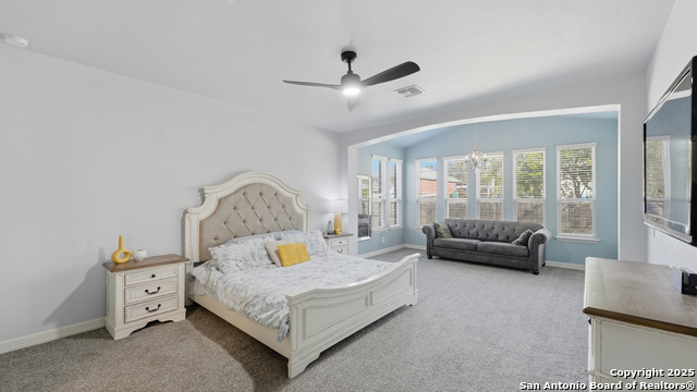 Image 20 of 42 For 335 Snow Goose