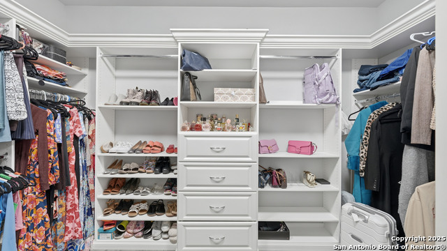 Image 24 of 42 For 335 Snow Goose