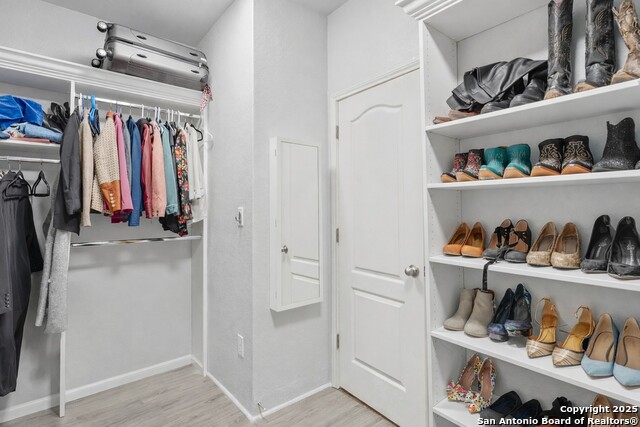 Image 25 of 42 For 335 Snow Goose