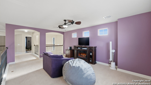 Image 29 of 42 For 335 Snow Goose