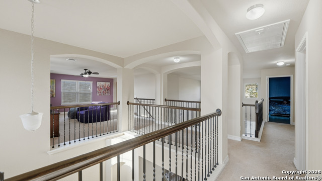 Image 31 of 42 For 335 Snow Goose