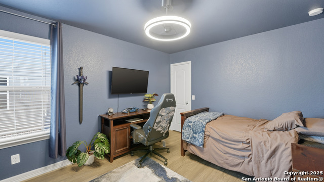 Image 33 of 42 For 335 Snow Goose