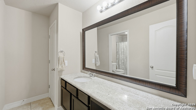 Image 34 of 42 For 335 Snow Goose