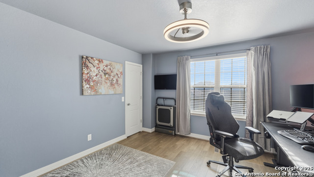 Image 35 of 42 For 335 Snow Goose