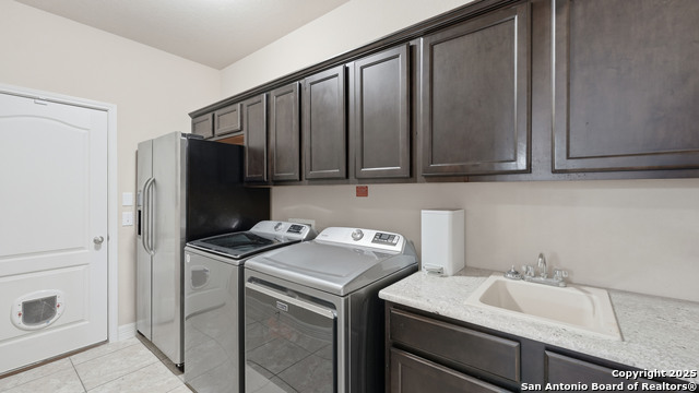 Image 37 of 42 For 335 Snow Goose