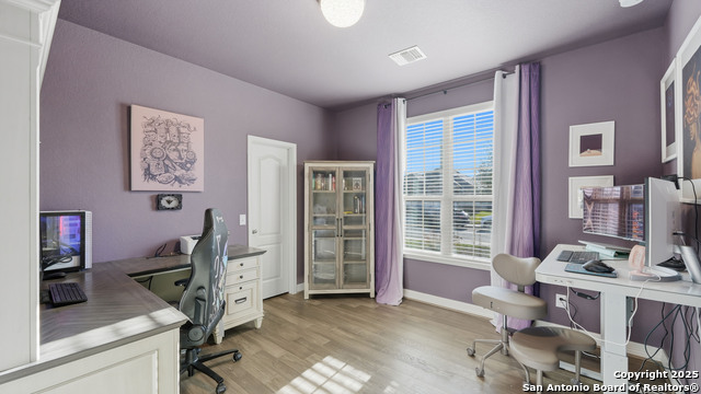 Image 4 of 42 For 335 Snow Goose