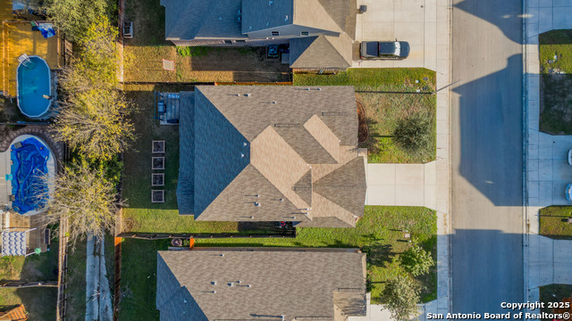 Image 41 of 42 For 335 Snow Goose