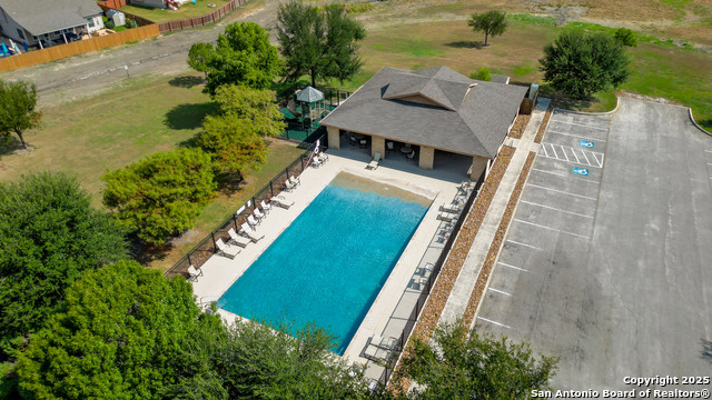 Image 42 of 42 For 335 Snow Goose