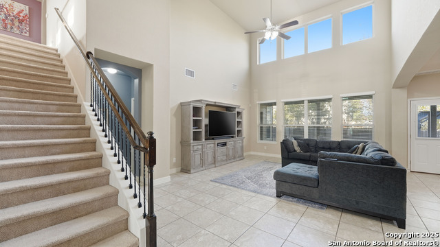 Image 9 of 42 For 335 Snow Goose