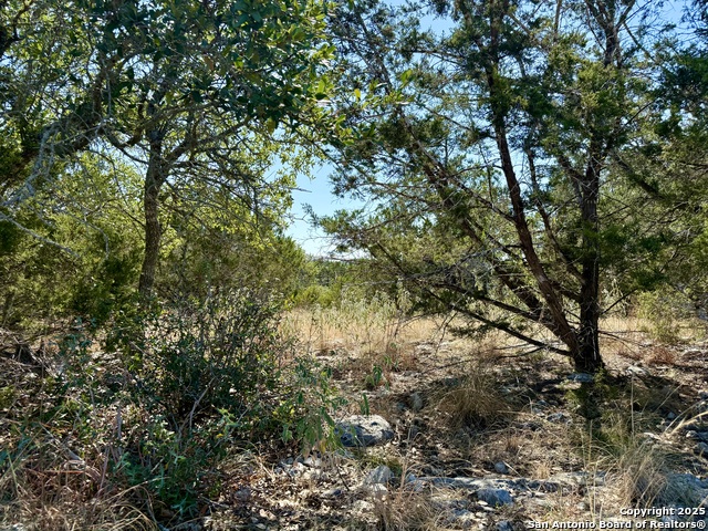 Listing photo id 2 for 3938 Running Spgs