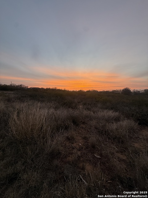 Details for 174 County Road 2667, Devine, TX 78016