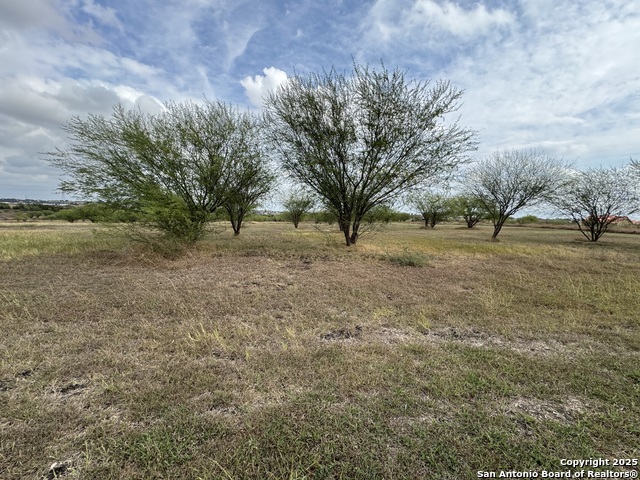 Image 8 of 20 For 207 Huisache