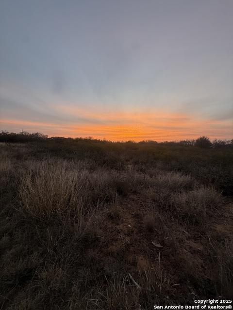 Listing photo id 2 for 161 County Road 2665