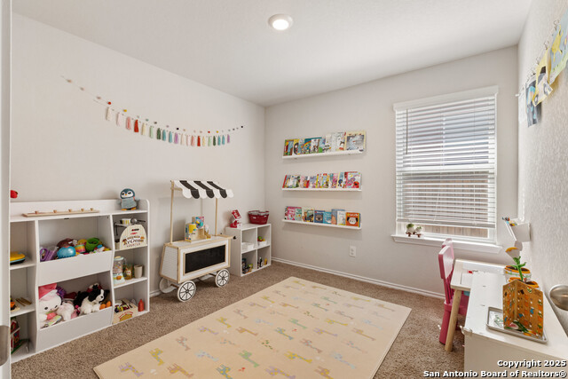 Listing photo id 17 for 13927 Borolanite Dr