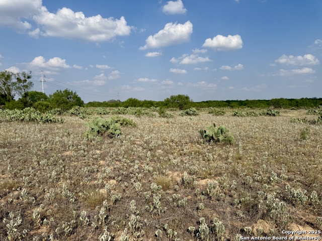 Details for Tbd Lot 61 Cr 1647 E, Moore, TX 78057