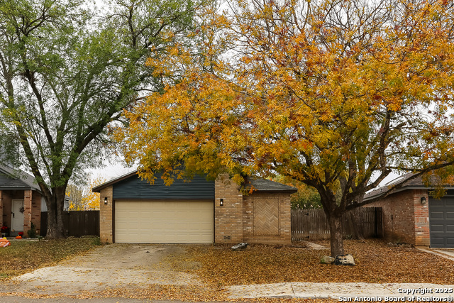 Listing photo id 17 for 8533 Wood Arbor