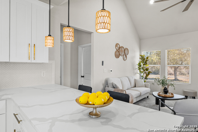 Image 9 of 38 For 732 County Road 6846