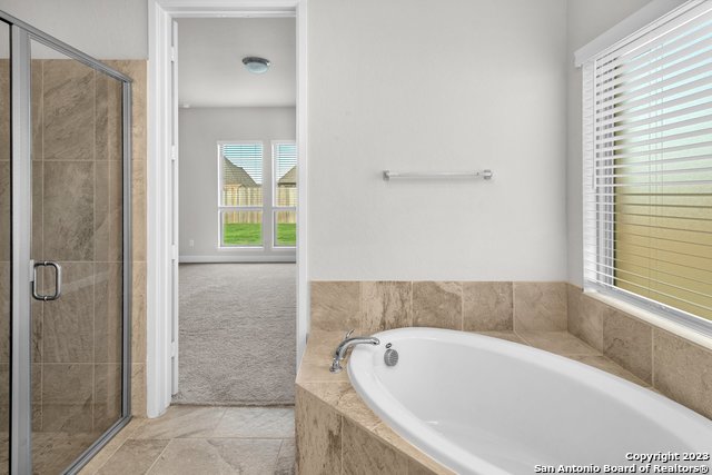 Image 19 of 27 For 14182 Blind Bandit