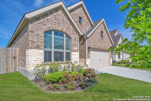 Image 2 of 27 For 14182 Blind Bandit