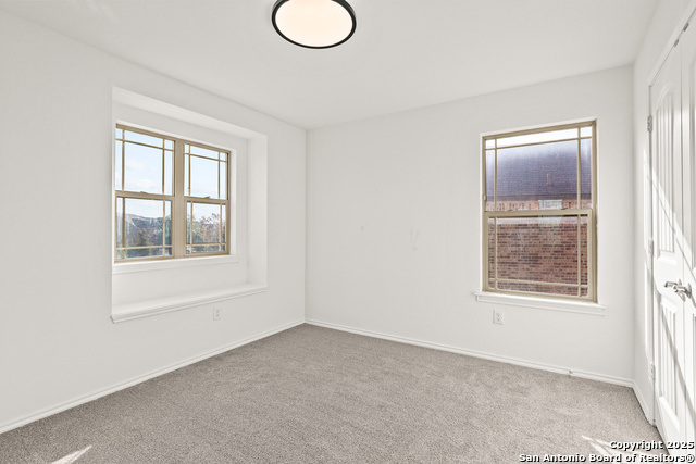 Image 22 of 26 For 561 Dusty Emerald