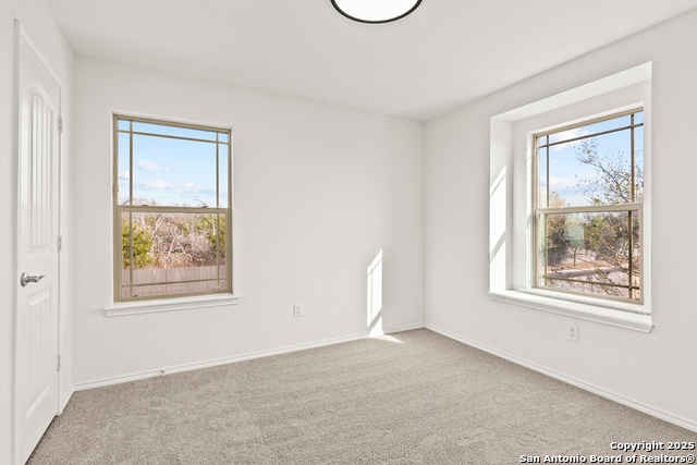 Image 25 of 26 For 561 Dusty Emerald