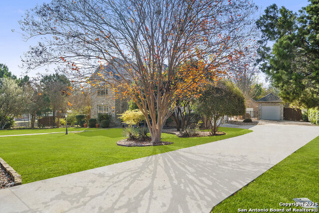 Image 4 of 59 For 9618 Rosemont