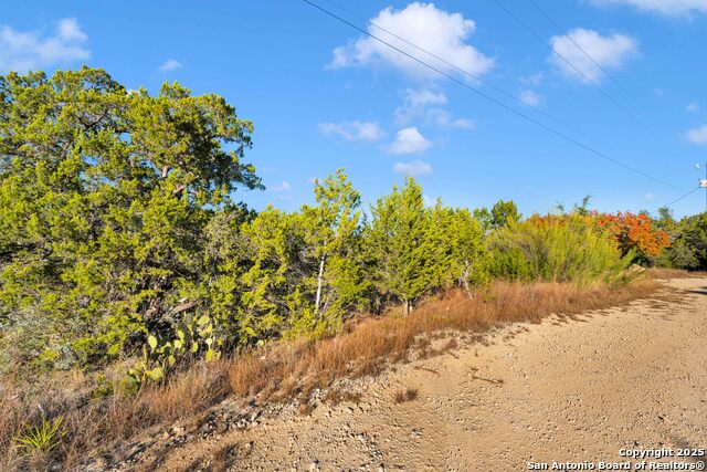 Listing photo id 2 for 217 Walden Pond